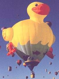 dodo.jpg (10884 octets)